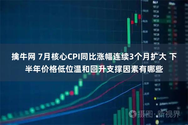 擒牛网 7月核心CPI同比涨幅连续3个月扩大 下半年价格低位温和回升支撑因素有哪些
