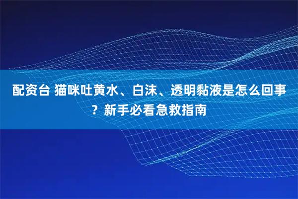 配资台 猫咪吐黄水、白沫、透明黏液是怎么回事？新手必看急救指南